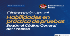 Diplomado virtual Habilidades en Practica de Pruebas según el CGP